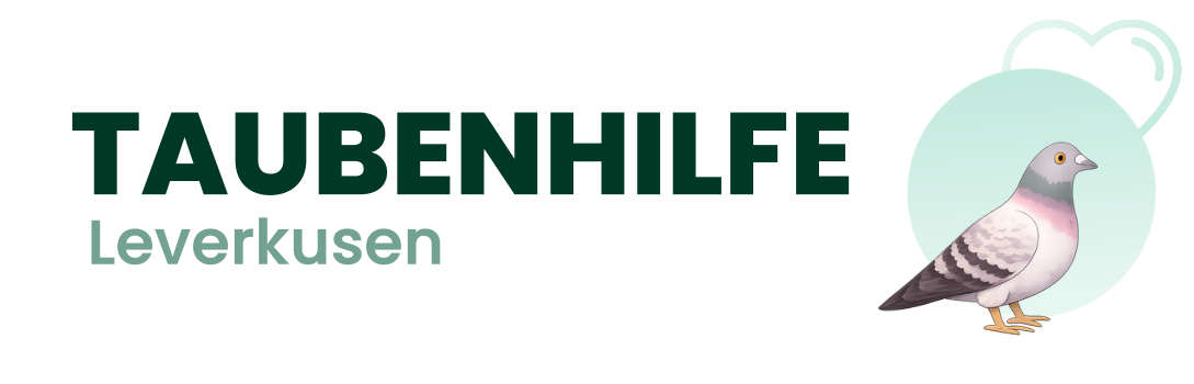 Taubenhilfe Leverkusen